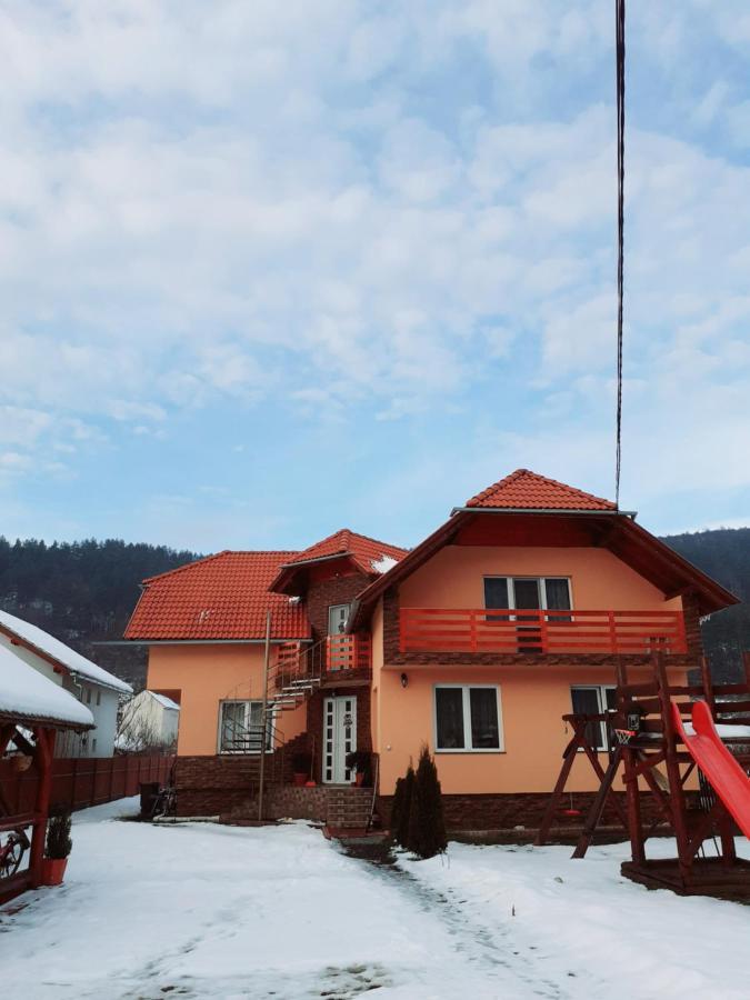 Casa De Oaspeti Cristian プライド エクステリア 写真