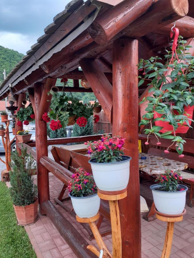 Casa De Oaspeti Cristian プライド エクステリア 写真