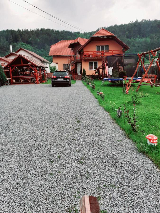 Casa De Oaspeti Cristian プライド 部屋 写真