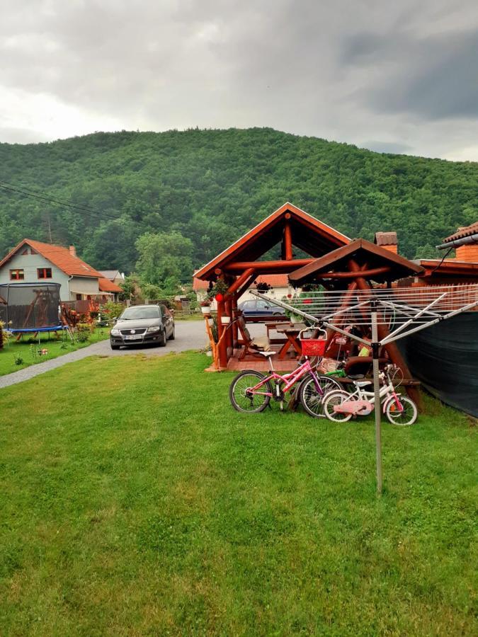 Casa De Oaspeti Cristian プライド 部屋 写真