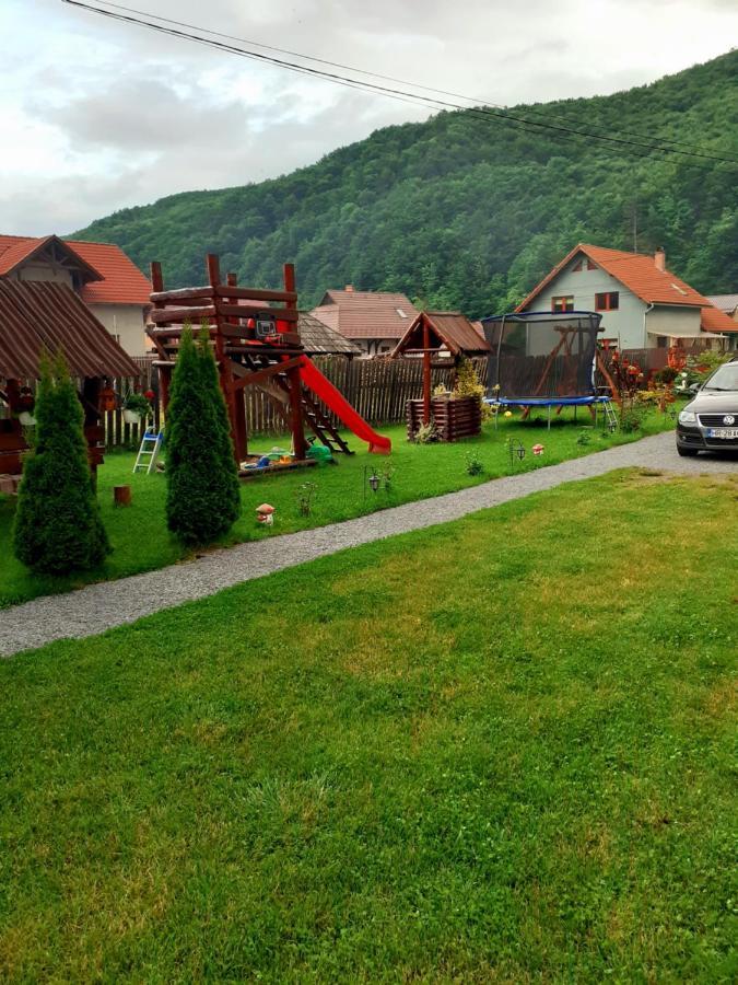 Casa De Oaspeti Cristian プライド 部屋 写真