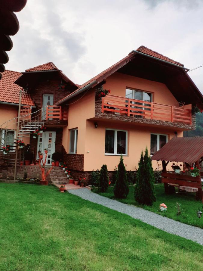 Casa De Oaspeti Cristian プライド 部屋 写真