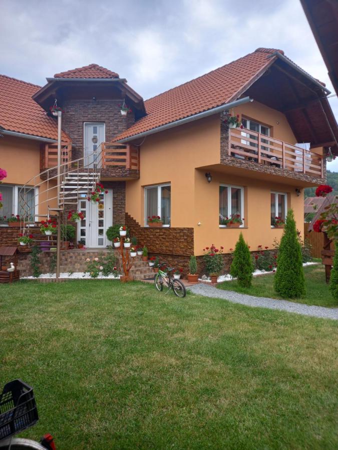 Casa De Oaspeti Cristian プライド エクステリア 写真