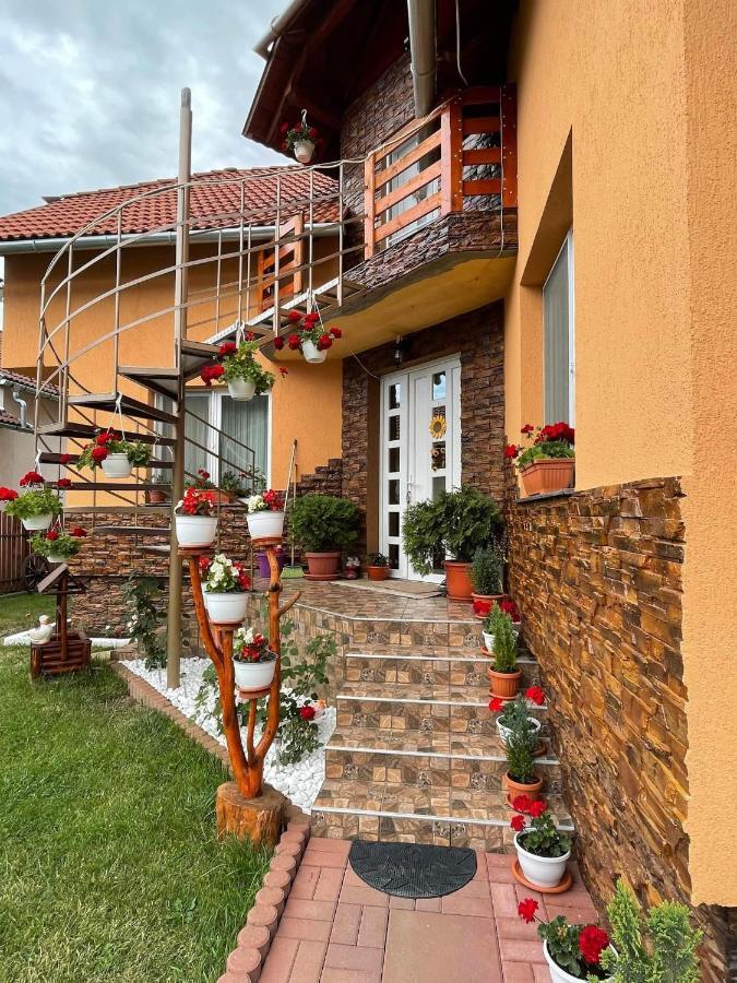 Casa De Oaspeti Cristian プライド エクステリア 写真