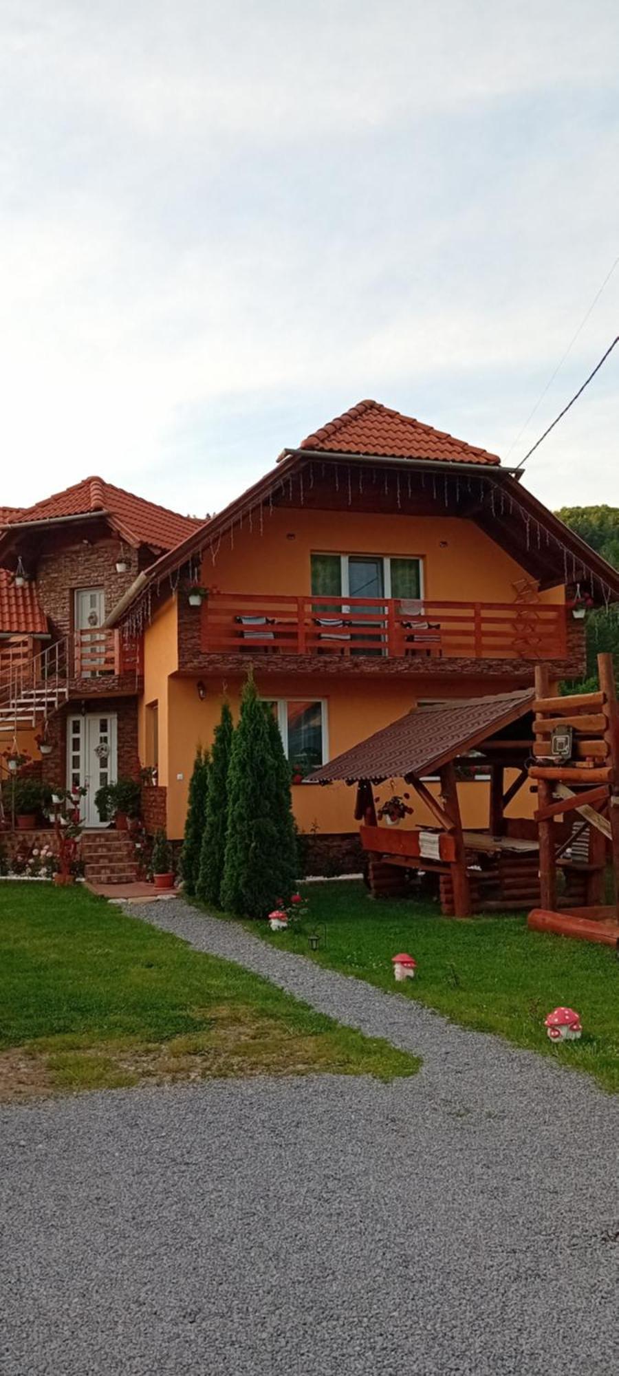 Casa De Oaspeti Cristian プライド エクステリア 写真