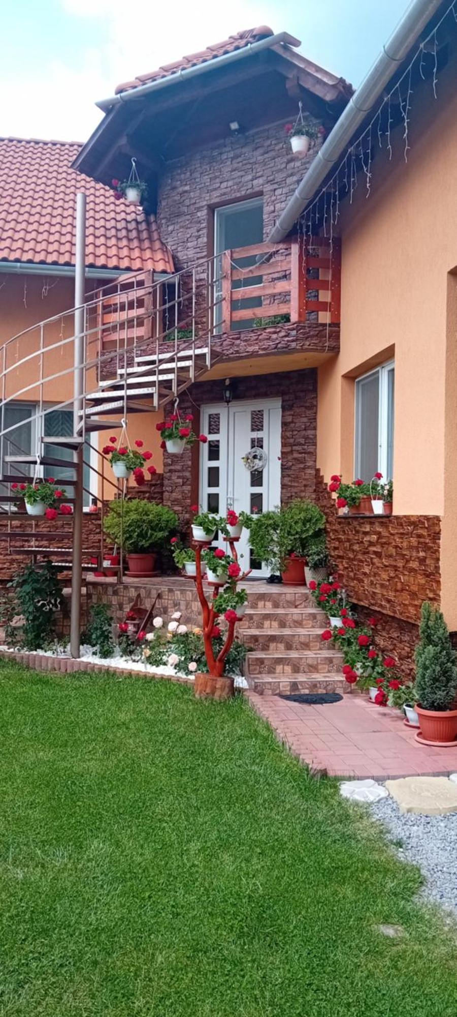 Casa De Oaspeti Cristian プライド エクステリア 写真