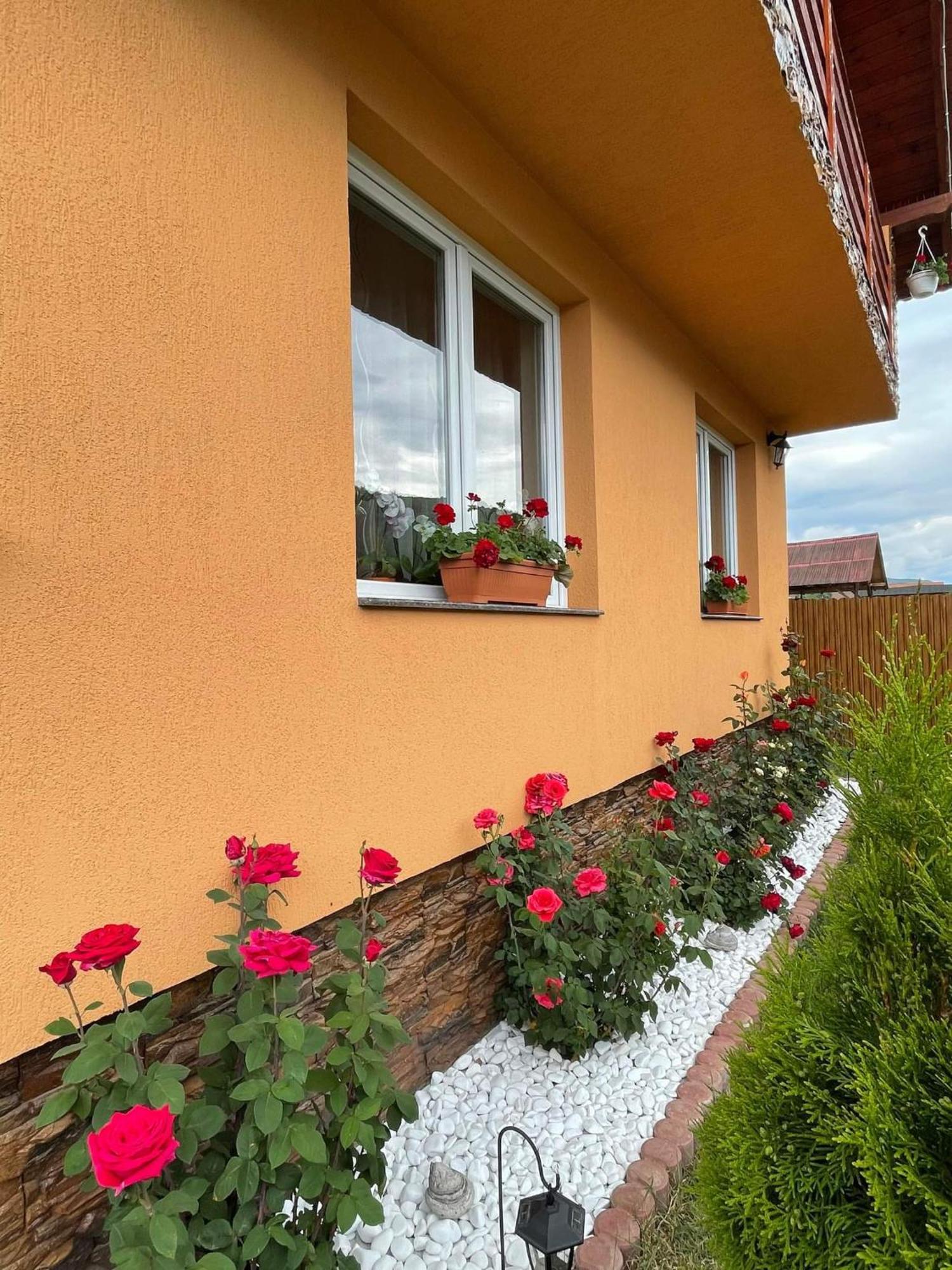 Casa De Oaspeti Cristian プライド 部屋 写真